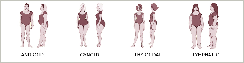 Facts about body fat (Obesity) – Fat 2 Fit